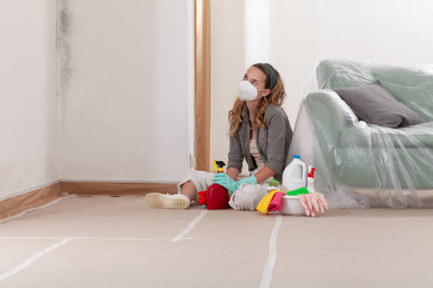 Reliable Hvac And Air Duct Mold Remediation contractor in Lexington, IL by 24 Hour Mold Removal